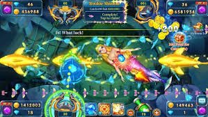 39pet
